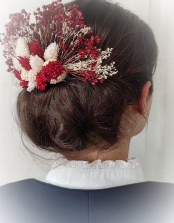 Barrette à cheveux rouge